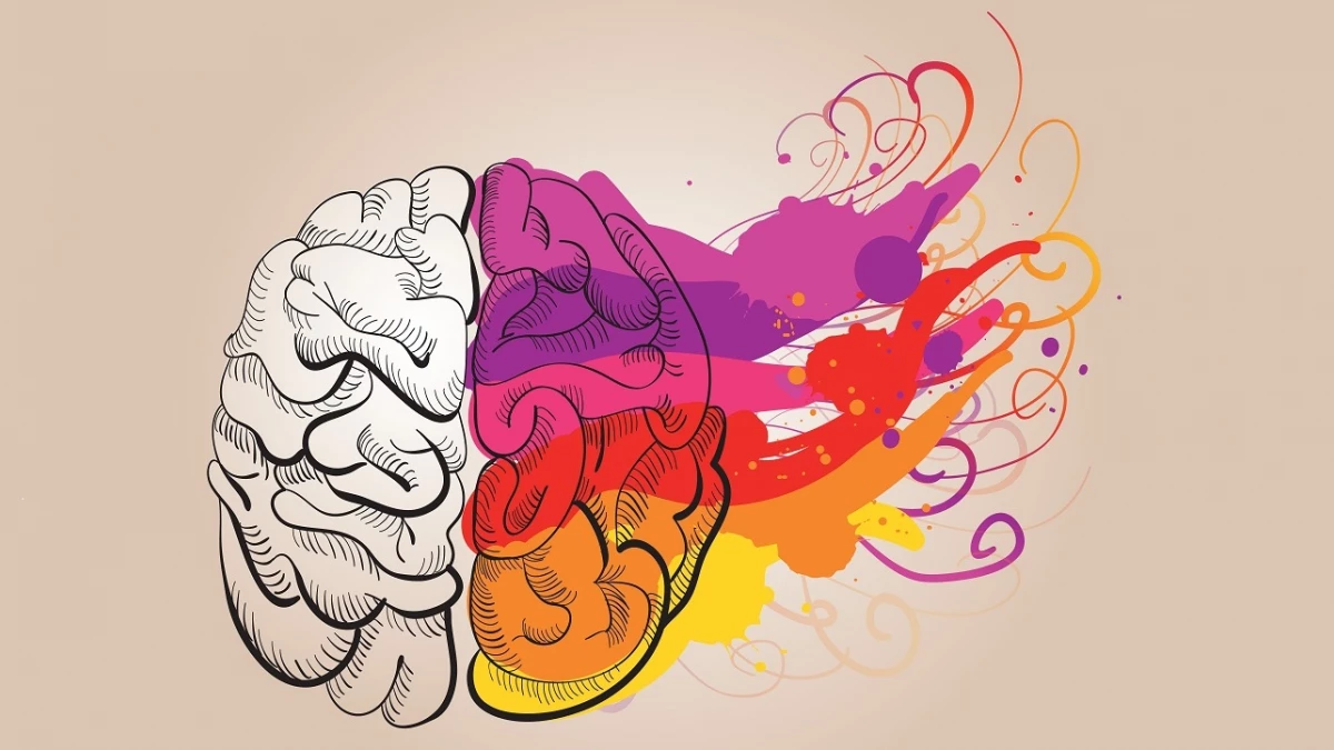 Innovación en Diseño